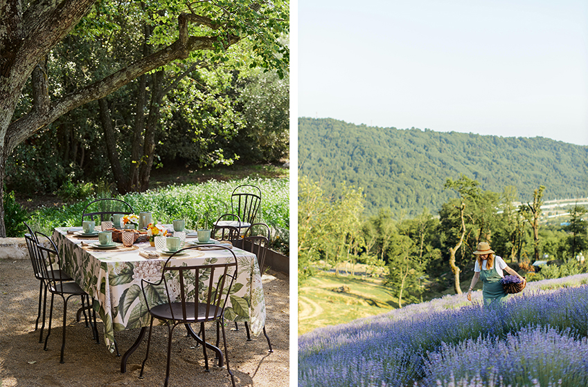 La Provence est-elle idéale pour des vacances en famille ?